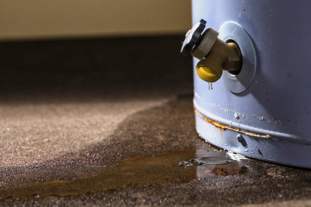 Best Water damage cleanup near me  in Robinson, IL