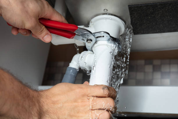 Best Local water damage restoration  in Robinson, IL