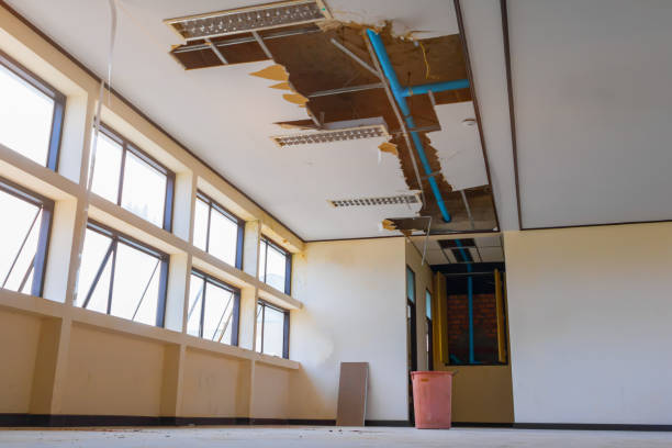 Best Carpet water damage restoration  in Robinson, IL