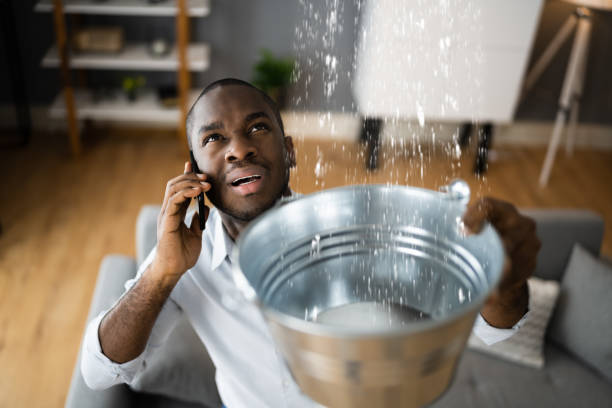 Best Flood restoration services  in Robinson, IL