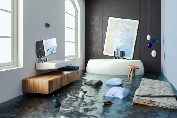 Best Commercial water damage restoration  in Robinson, IL