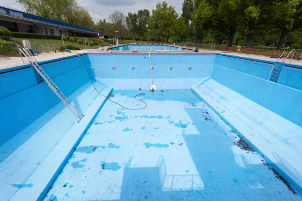 Best Basement water damage restoration  in Robinson, IL