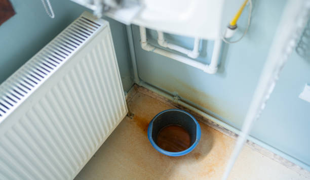 Best Flood restoration services  in Robinson, IL
