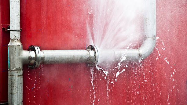 Best Professional water damage repair  in Robinson, IL